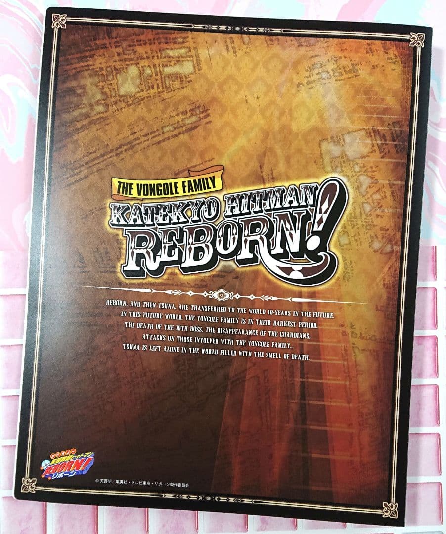 家庭教師ヒットマンREBORN！ ファイル付きビッグポストカードセット