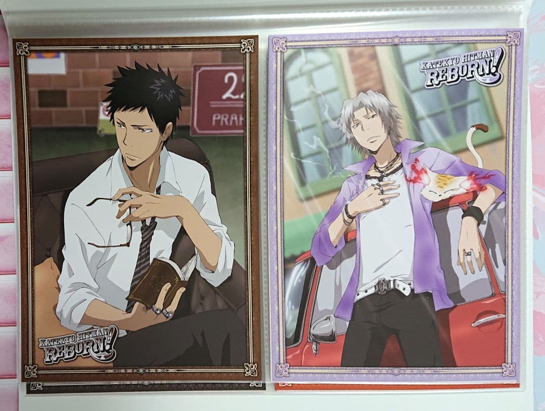 家庭教師ヒットマンREBORN！ ファイル付きビッグポストカードセット