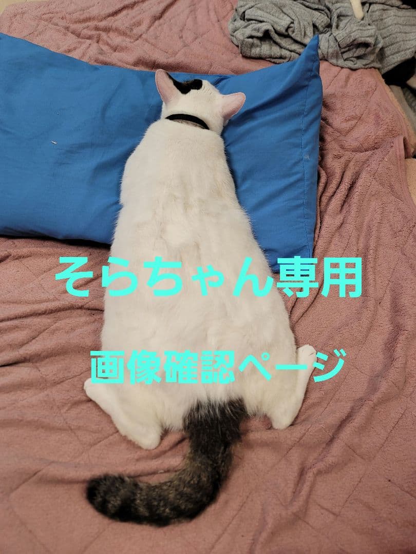 画像確認ページ　雑貨