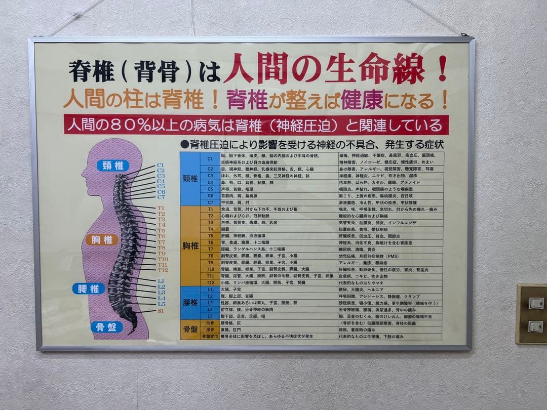 整骨院、整体、カイロプラクティック、院内ポスターの２枚セット