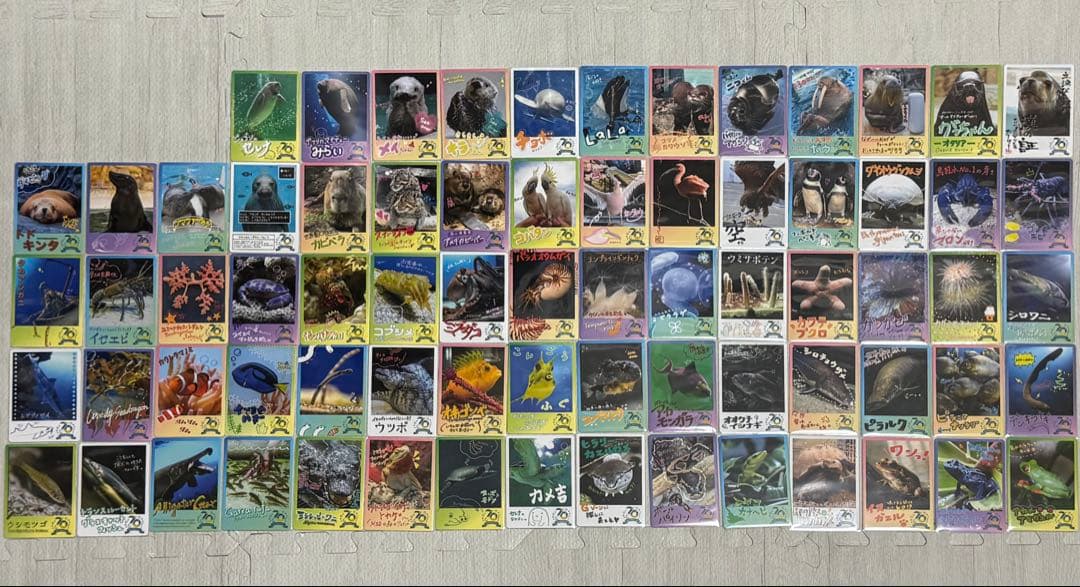鳥羽水族館 70周年記念 コレクションカード 72種 コンプリートセット