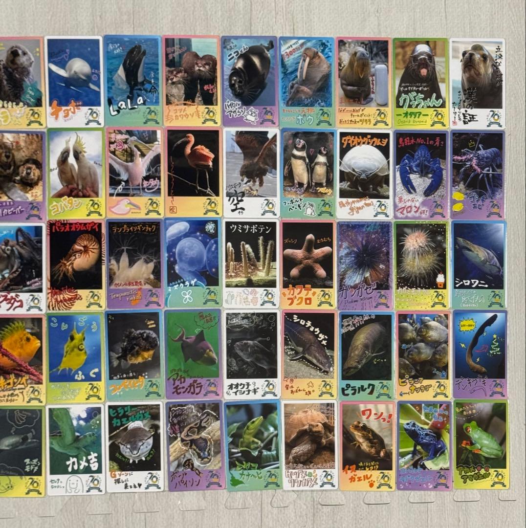鳥羽水族館 70周年記念 コレクションカード 72種 コンプリートセット