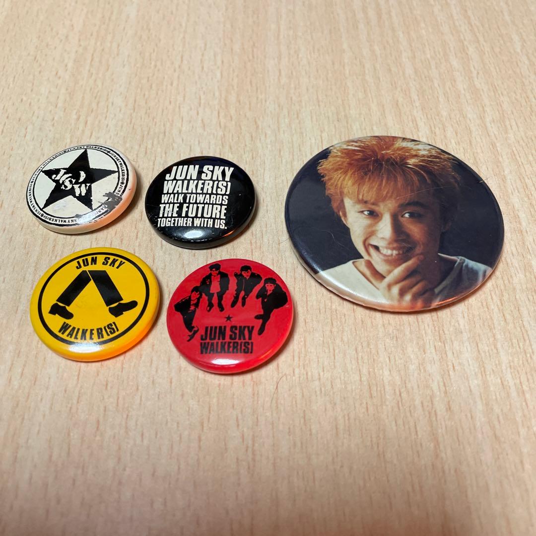 ☆ネネ様専用☆JUN SKY WALKER(S) 缶バッジセット ジュンスカ - メルカリ