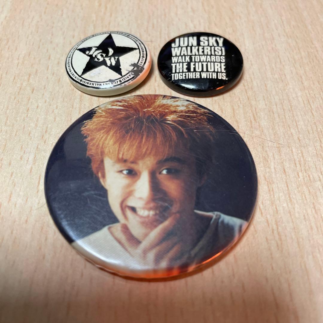 ☆ネネ様専用☆JUN SKY WALKER(S) 缶バッジセット ジュンスカ - メルカリ