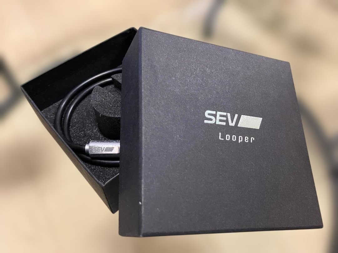 SEV Looper TYPE M ネックレス