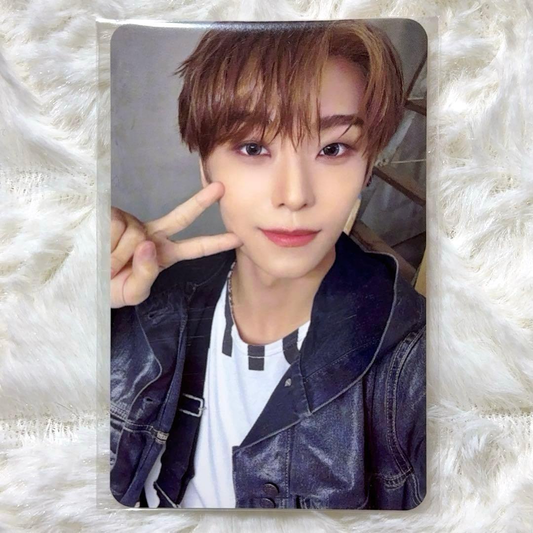 ALD1 シンロン oliveyoung オリヤン トレカ もちピースver. - メルカリ