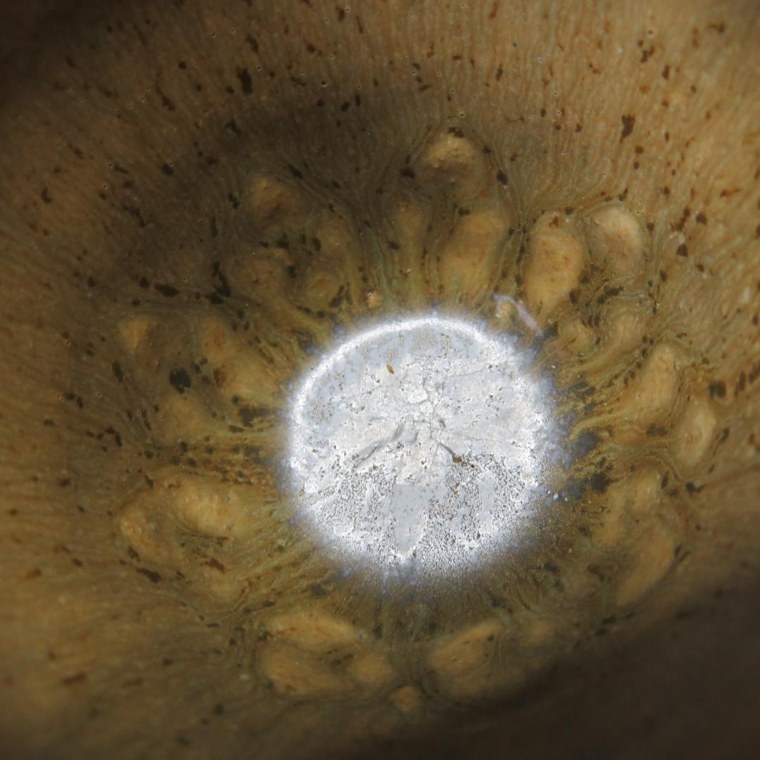 ぐい呑み 田村了一 灰釉菱陽刻 共箱 木箱 猪口 酒器