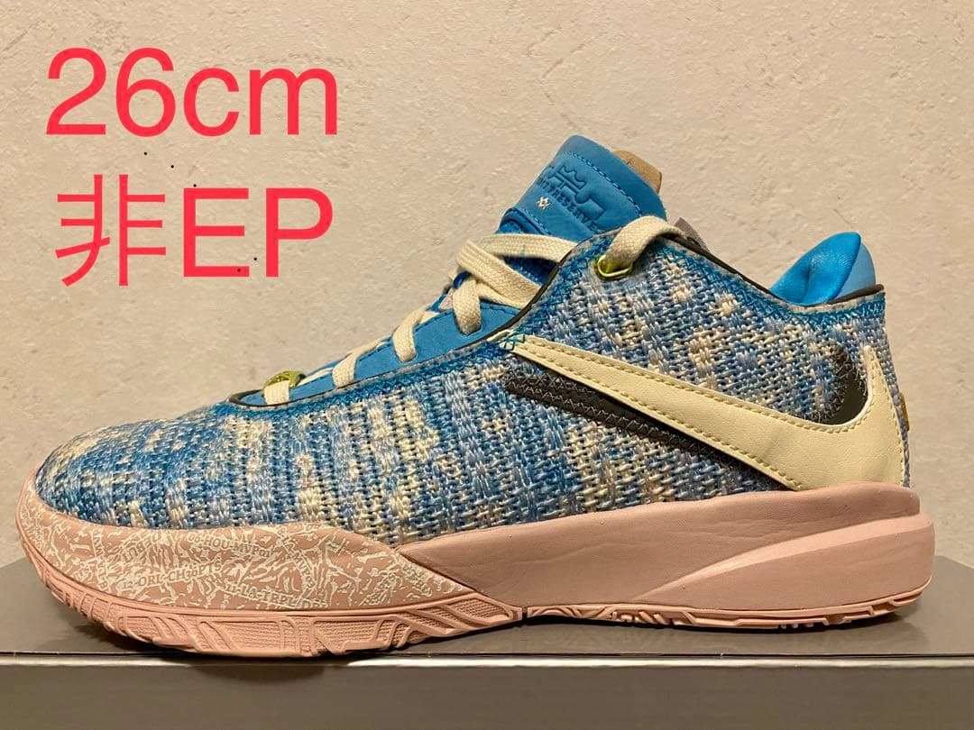 26cm グローバルラスト】Nike LeBron 20 
