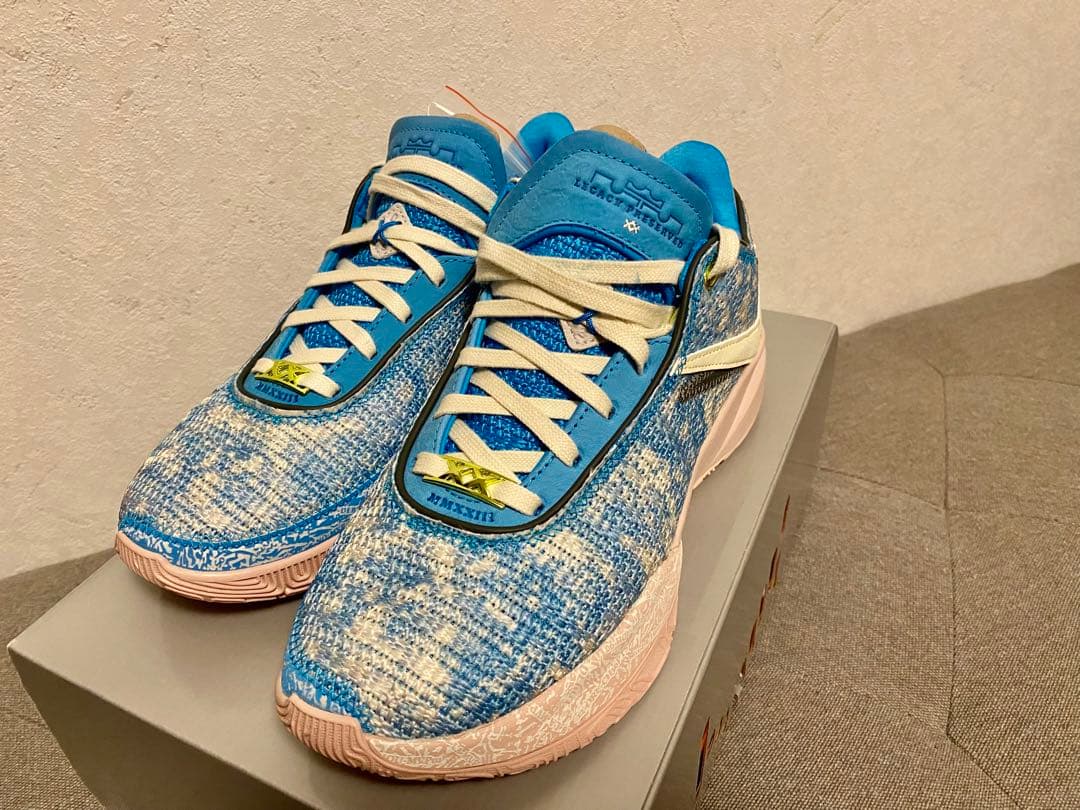 26cm グローバルラスト】Nike LeBron 20 