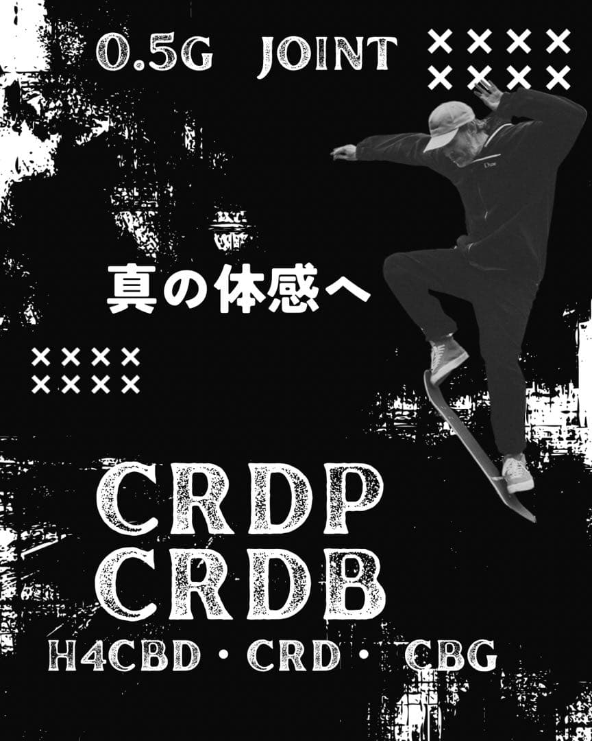 HHBD H4CBH CRDP5本セット