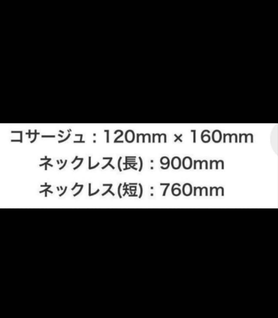 BUCK-TICK あっちゃん コサージュ 赤 - メルカリ