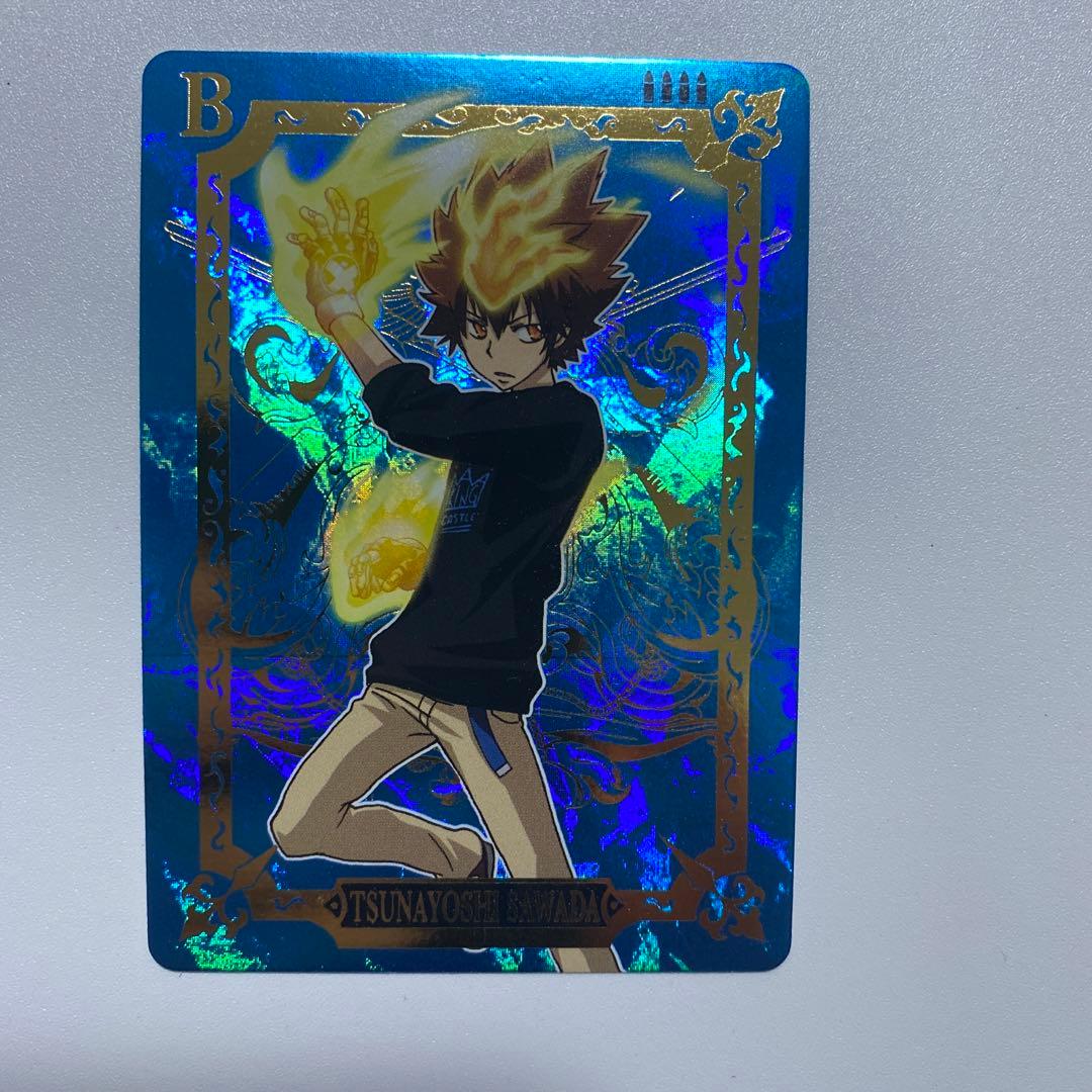 家庭教師ヒットマンREBORN! サザンクロスバトル ボンゴレア2枚含む48枚