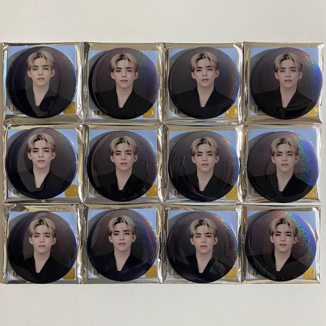 SEVENTEEN エスクプス NEW_ JAPAN 缶バッジ 12個セット