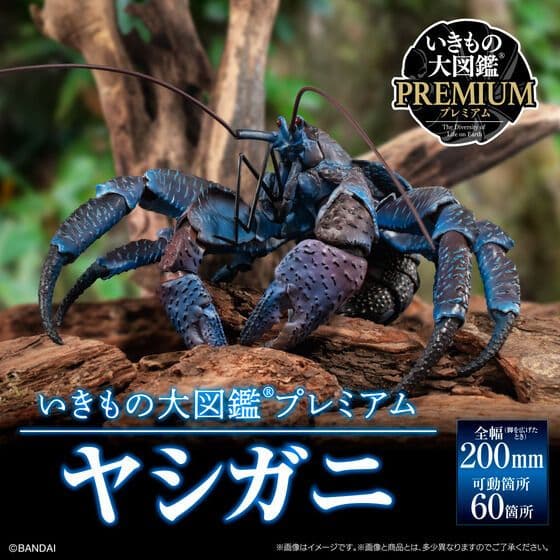 いきもの大図鑑プレミアムヤシガニ プレミアムバンダイ限定