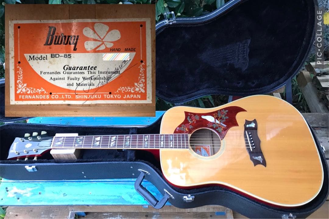 Burny BD-85 DOVE バーニー Bunny BD-85 DOVE model バーニー ダヴ ダブルXブレーシング｜Yahoo