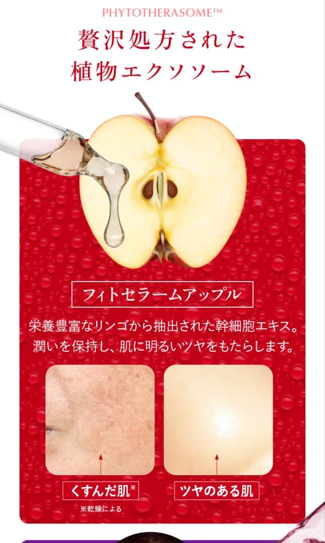 Aurelie セット - メルカリ