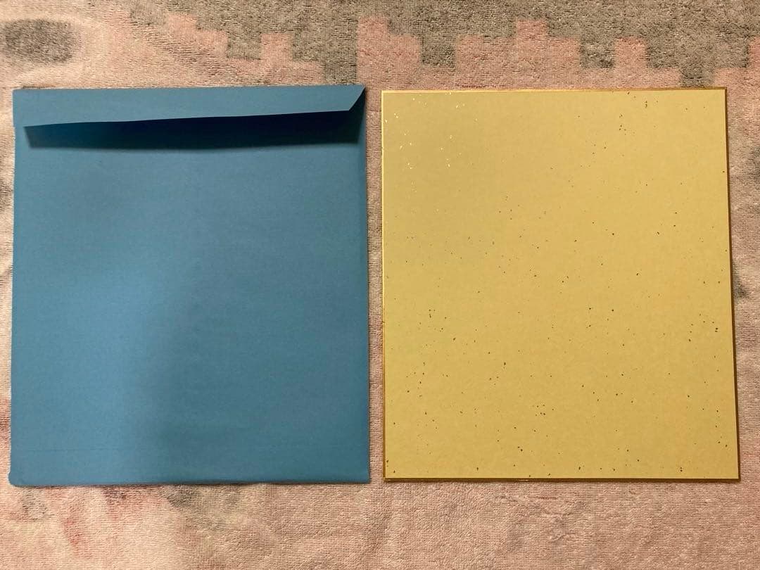 M*i様 中日ドラゴンズ チアドラゴンズ2025 直筆サイン色紙、アクリル