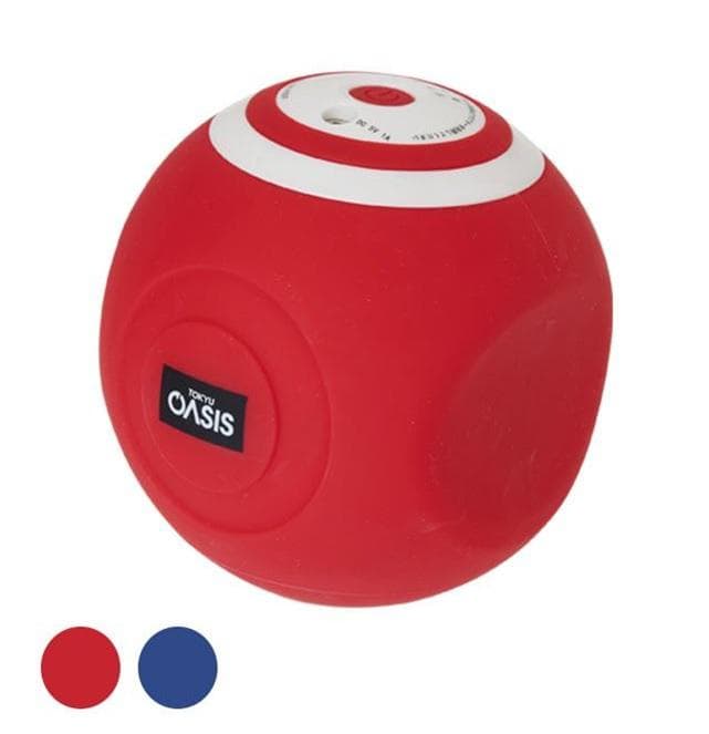 さわこ様専用 未使用品 東急スポーツオアシス スタイリーボール レッド