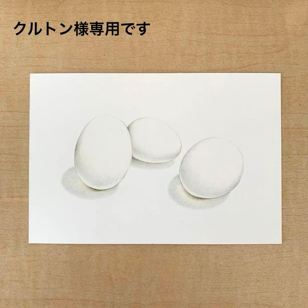 クルトン　色鉛筆画
