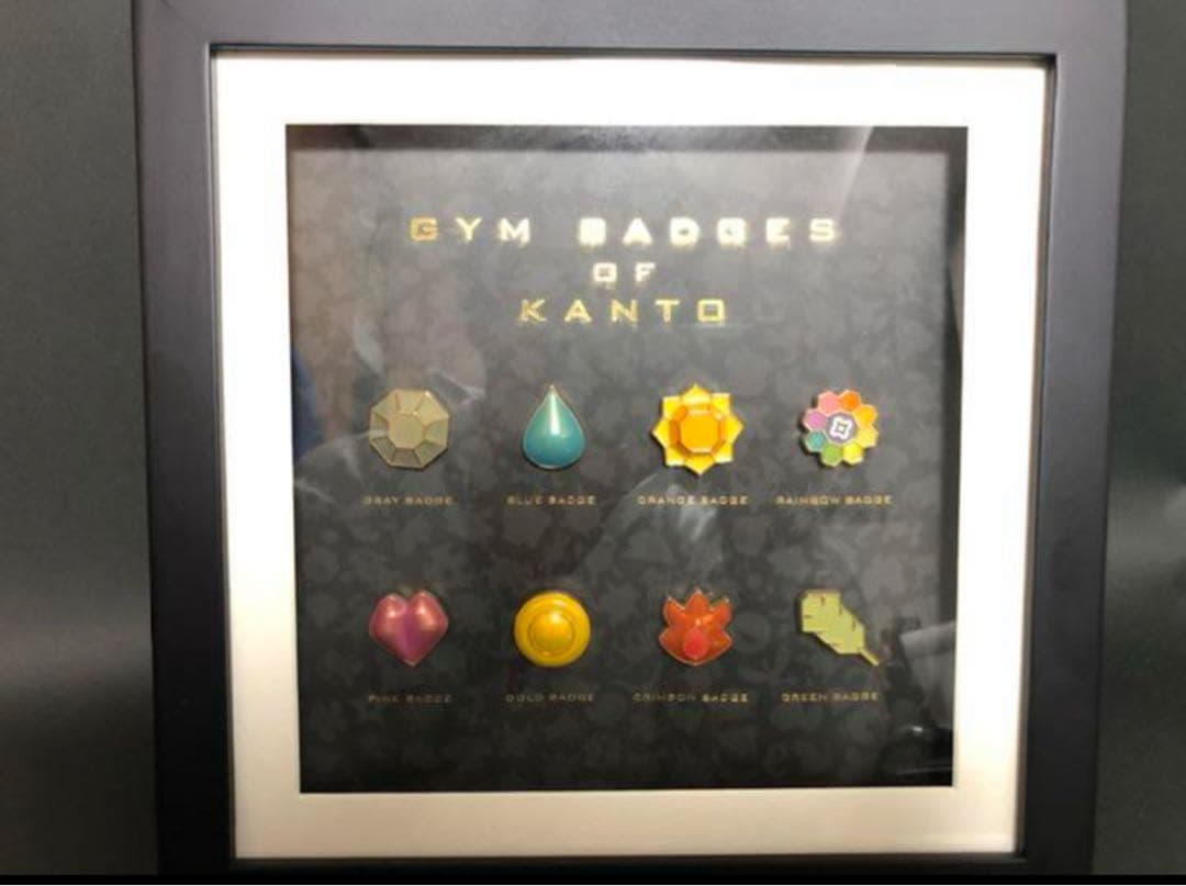 ポケモンセンターオンライン限定ジムバッジコレクションコンプリート