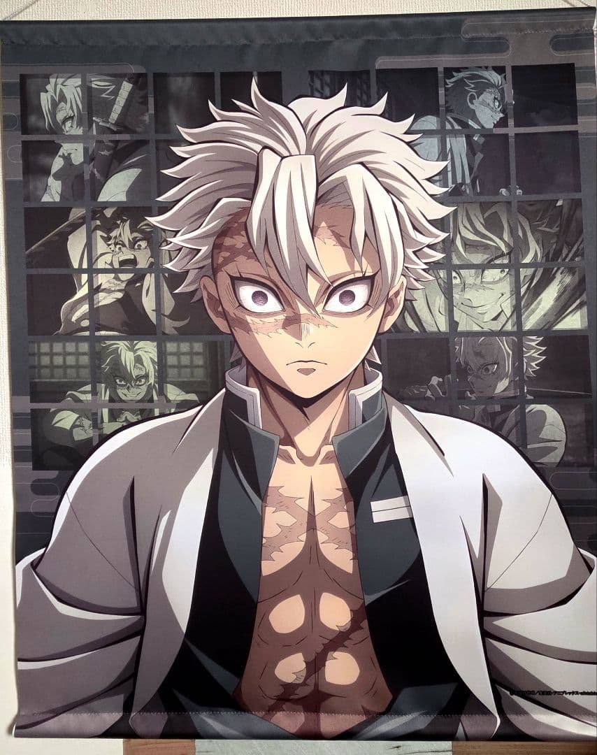 不死川実弥 タペストリー 鬼滅の刃 キービジュアル 完売品 レア 鬼滅の刃 柱展 キービジュアル 等身大タペストリー 不死川実弥｜Yahoo