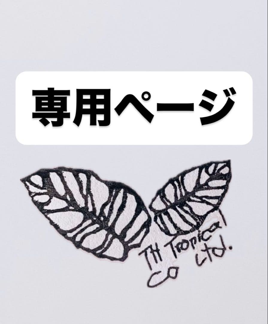 トシ　light lime ヤマト運輸