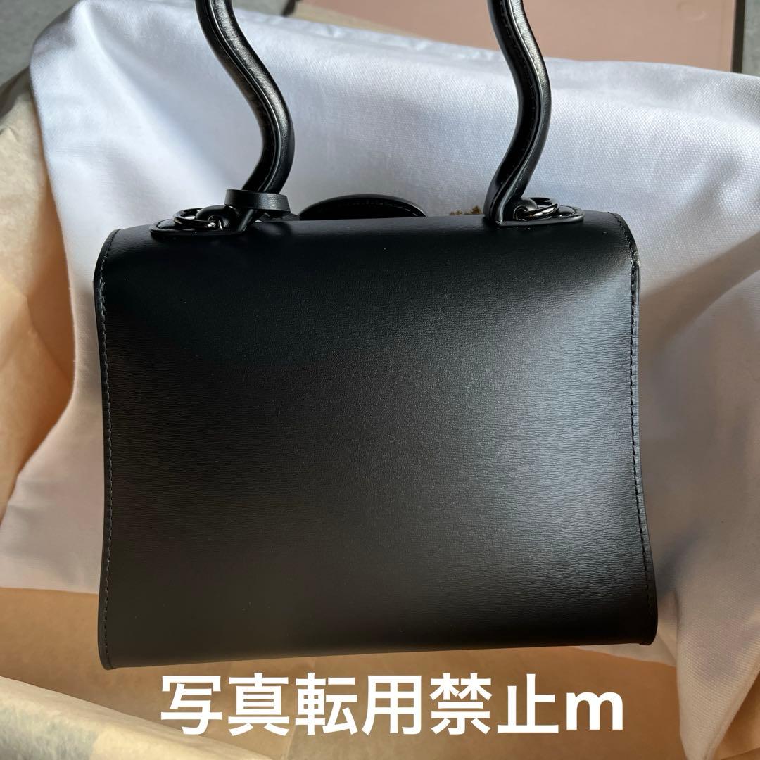 mimi様専用！デルヴォー ブリヨンミニ ウェイビー ブラック 美品