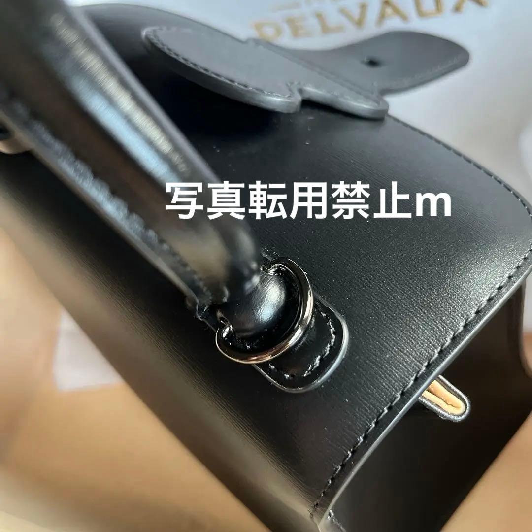 mimi様専用！デルヴォー ブリヨンミニ ウェイビー ブラック 美品