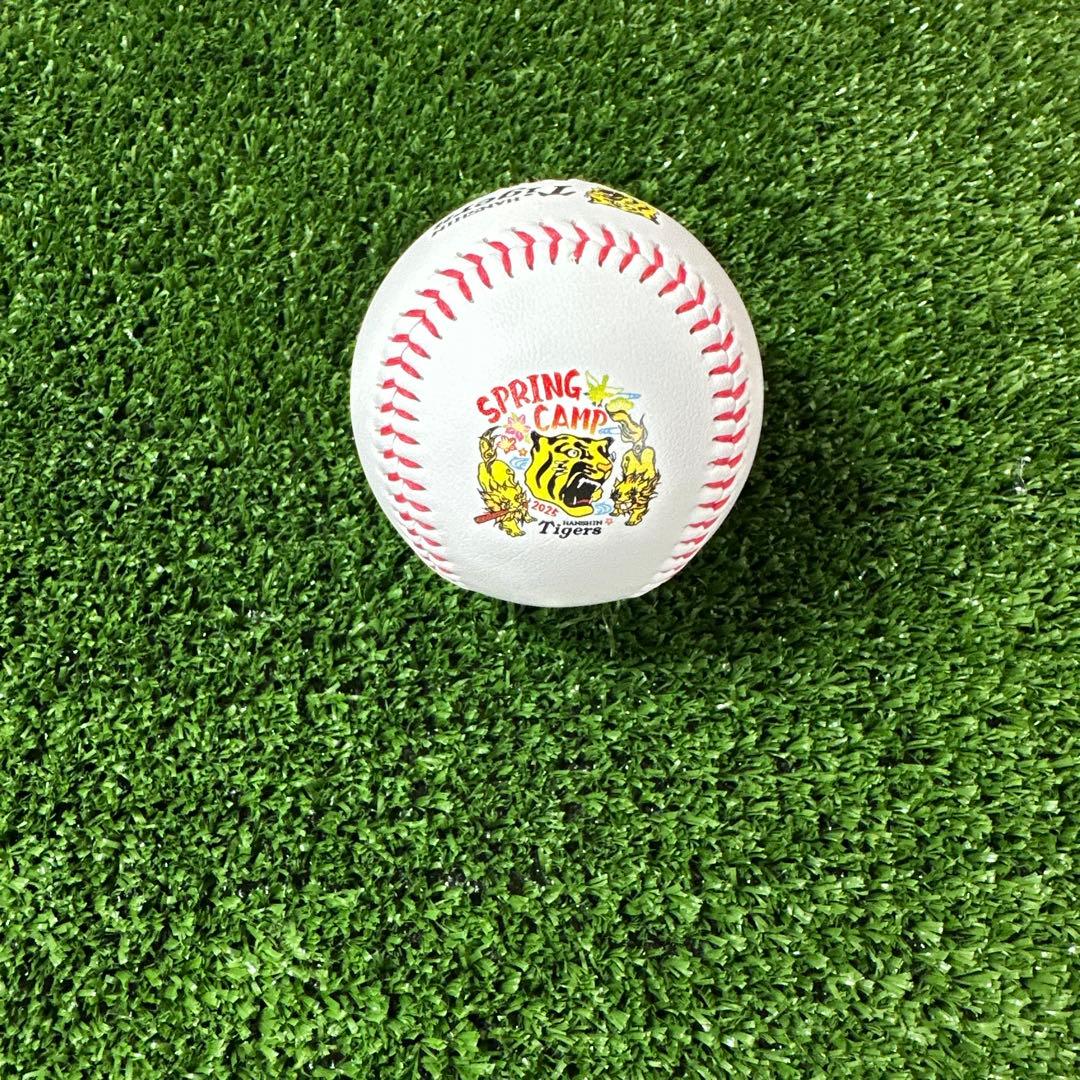 2025沖縄キャンプ限定球 阪神タイガース 今朝丸 裕喜選手 直筆サイン