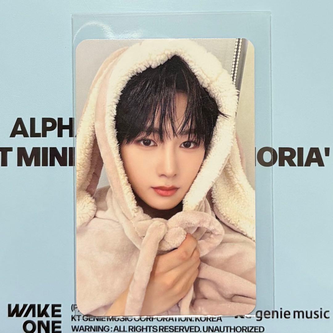 ALD1-EUPHORIAアンシン】makestar特典トレカ-うさぎ毛布 - メルカリ