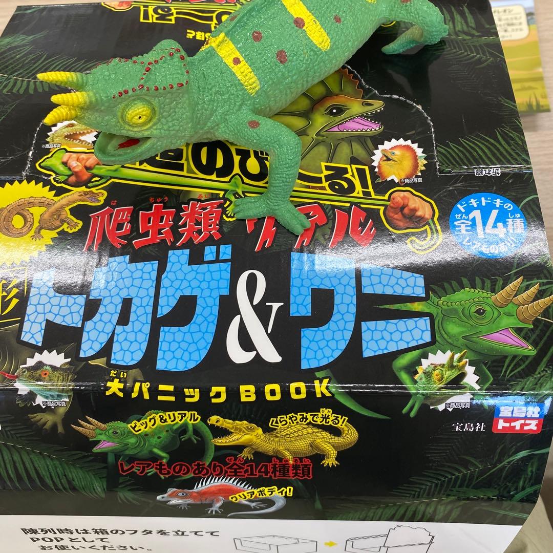 変形爬虫類リアルトカゲ＆ワニ ジャクソンカメレオン - メルカリ