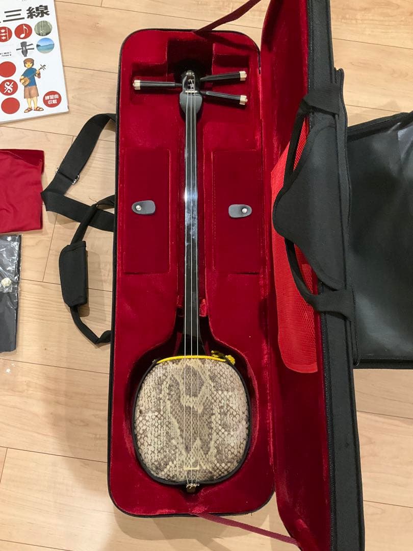沖縄三線 三味線 ヘビ柄　ケース付 民族楽器 弦楽器