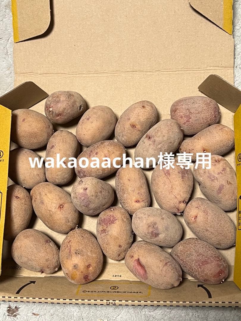 【wakaobachan　種芋】レッドムーン他　計３種合計７ｋｇ(箱込み)