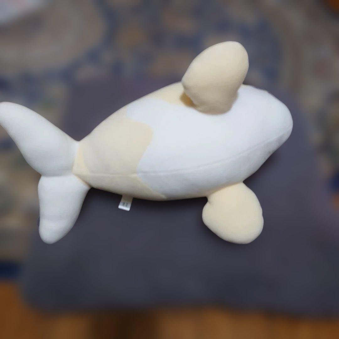 神戸須磨シーワールド オルカくじ 3等 限定フローラルホワイト - メルカリ