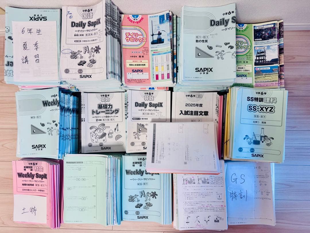 サピックス SAPIX 6年 最新　算数理科国語社会 テキスト フルセット