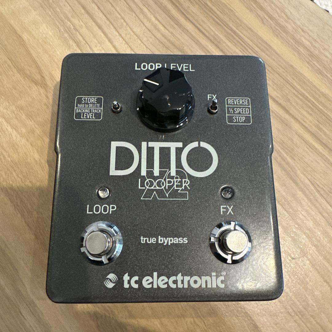 tc electronic DITTO LOOPER X2【稼動品】