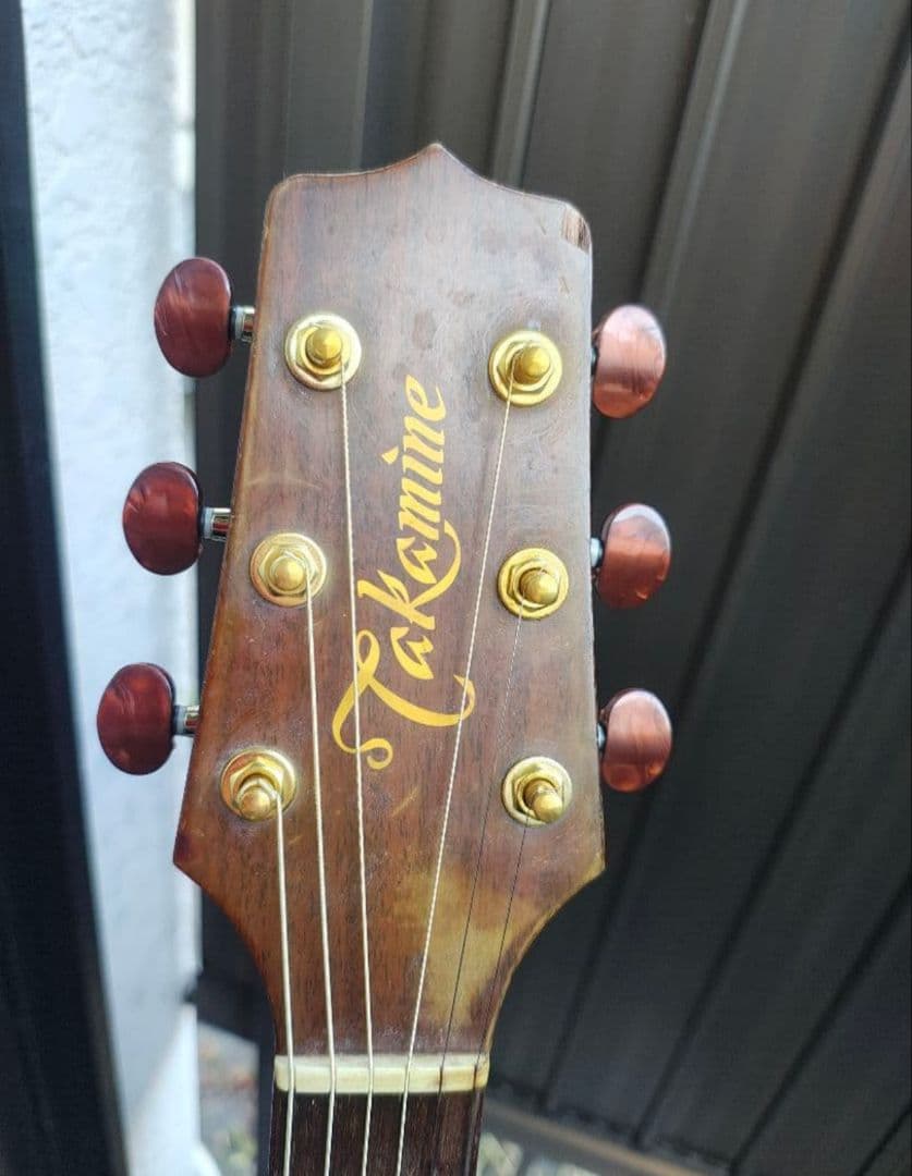 Takamine NPT-010 NC 動作確認済み タカミネ 長渕剛