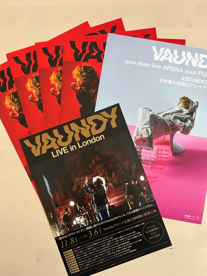 VAUNDY フライヤー 6枚 - メルカリ