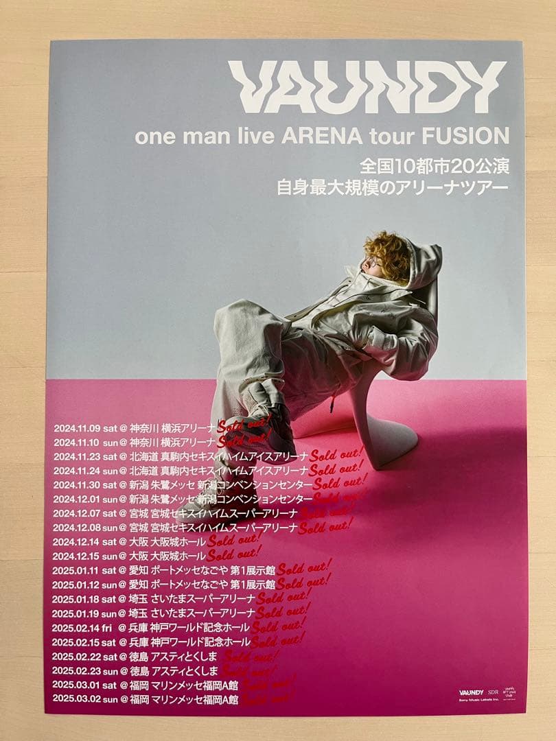 VAUNDY フライヤー 6枚 - メルカリ