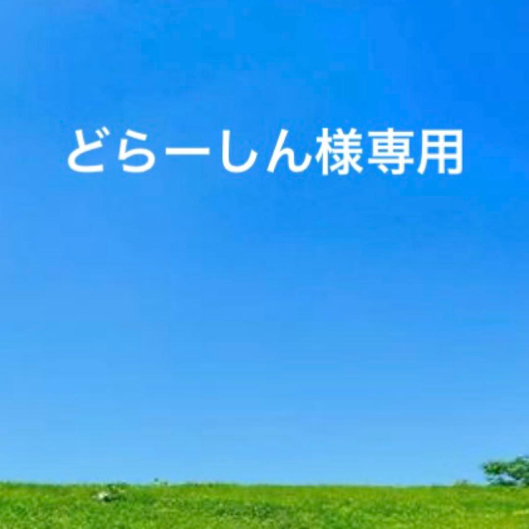 未使用　IL BISONTE イルビゾンテ　レザー長財布 チョコ　濃茶