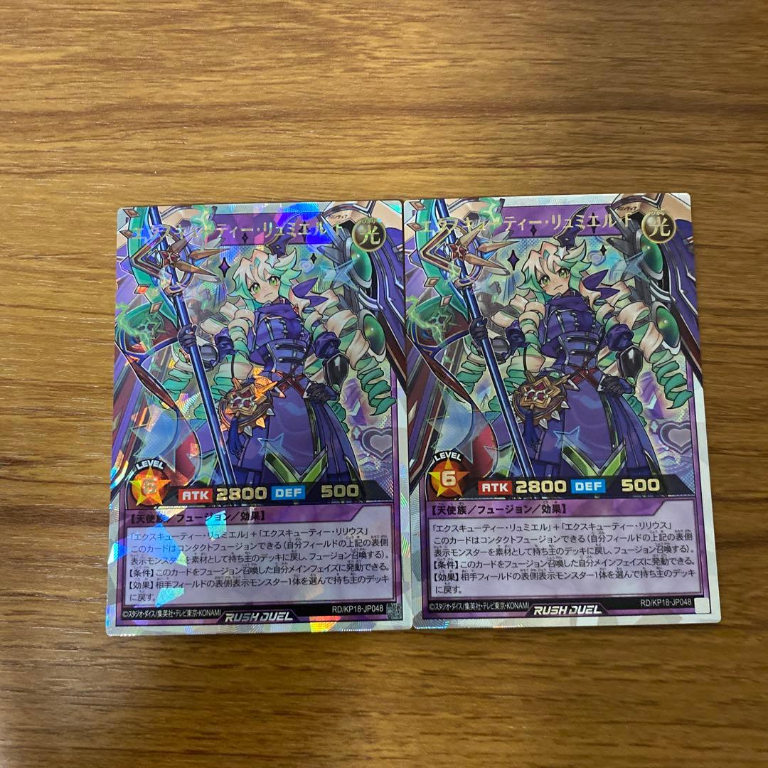 エクスキューティー・リュミエルF 絵違い2枚セット