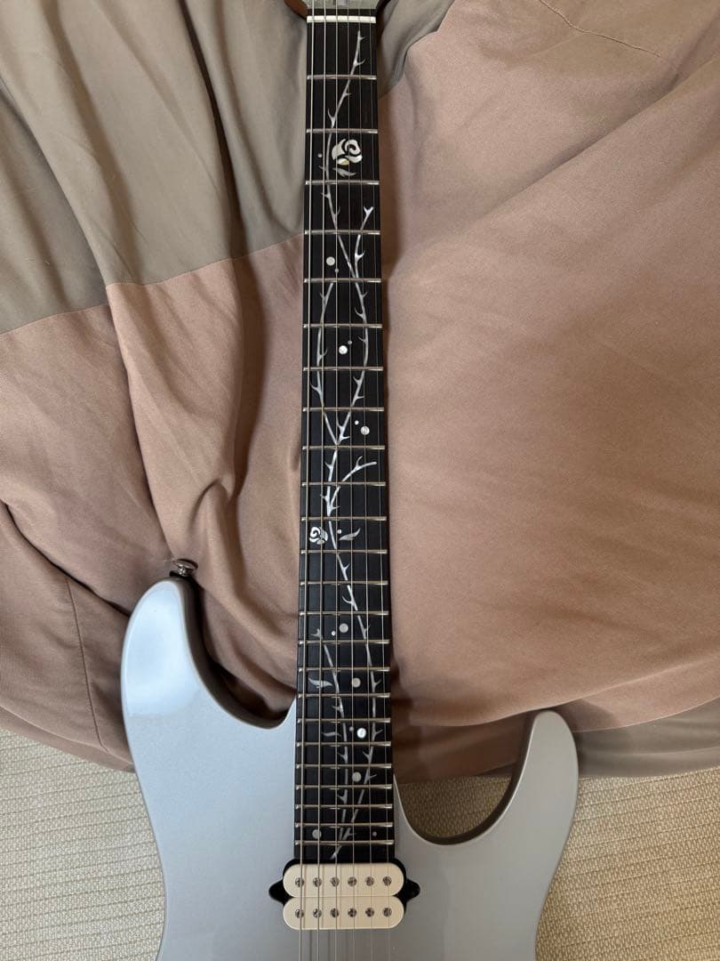 期間限定値下げ】2025年4月新品購入 Ibanez TOD 10