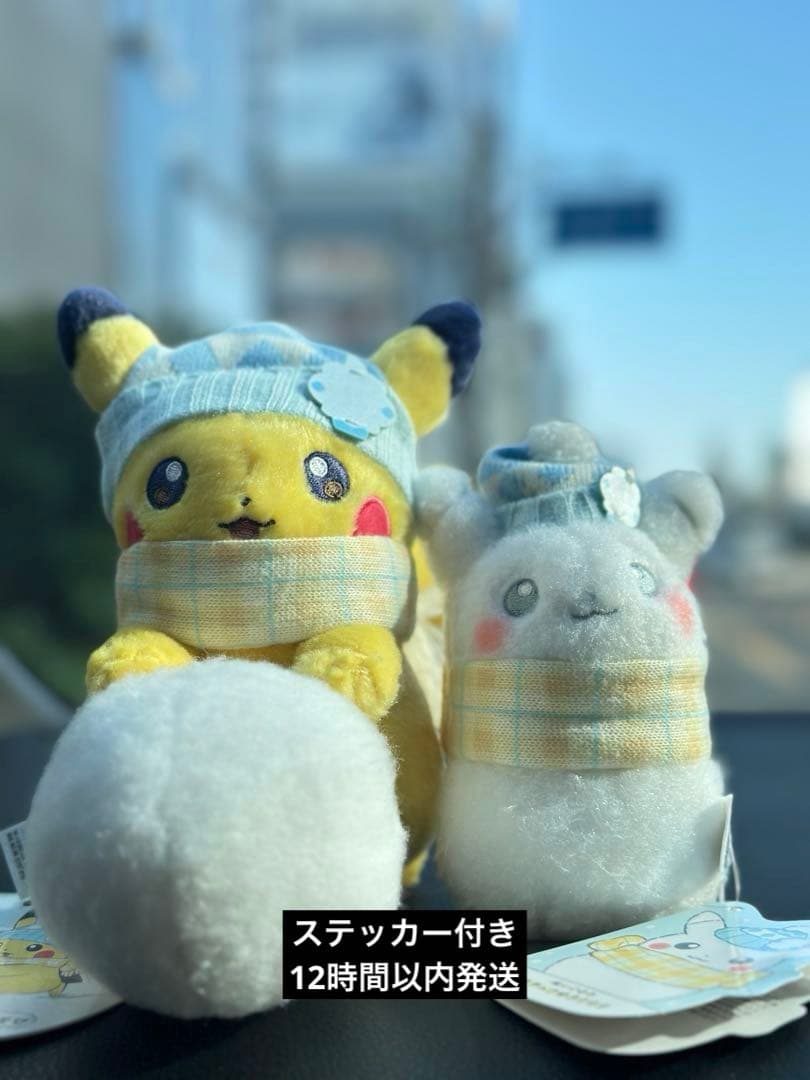 【匿名即日配送】ポケモン ぬいぐるみ ピカチュウとゆきあそび 2点セット