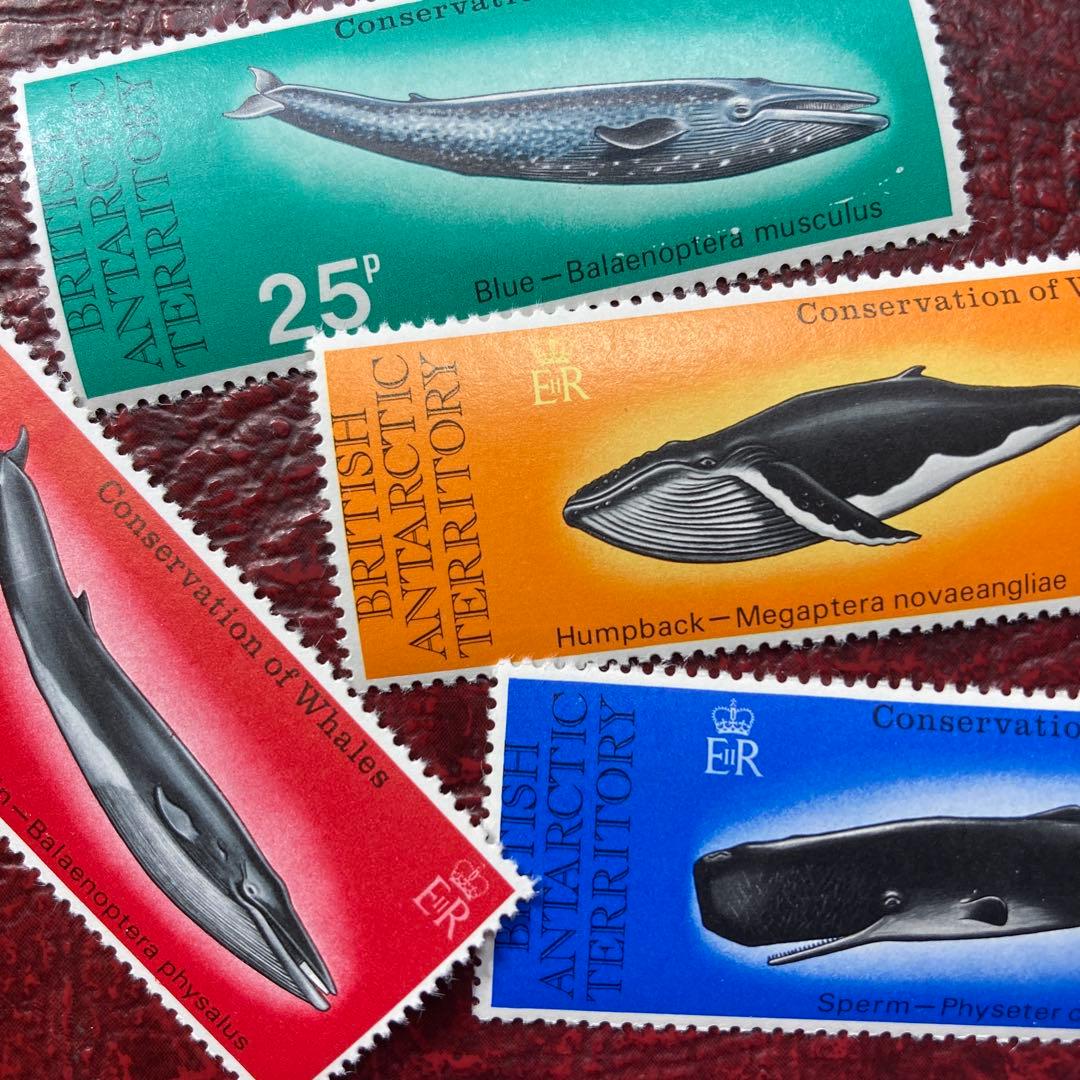 67157セール現品限　外国切手未使用　英領南極地域発行クジラ4種揃 南極地域 - 英国海外郵趣