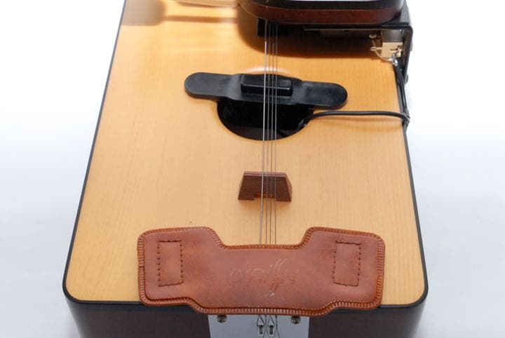 ライリッシュ 大正琴 LSS75 - メルカリ