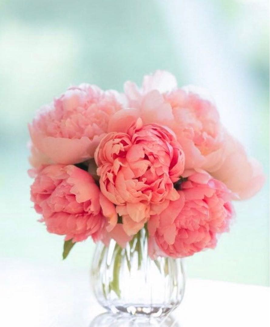 ちょこ_プロフ必読_1/4まで発送停止　ブラック38