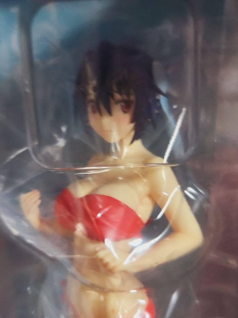 BEACH QUEENS ニセコイ 鶫誠士郎 1/10フィギュア - メルカリ