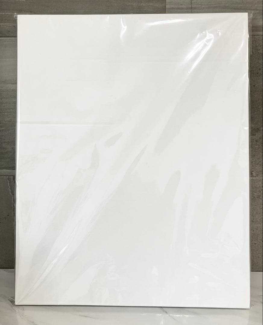 限定50枚 直筆サイン トライガン 複製原画5 TRIGUN 内藤泰弘の世界展