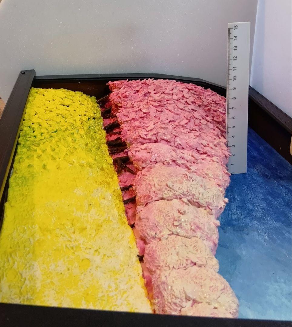 権現堂公園の桜と菜の花