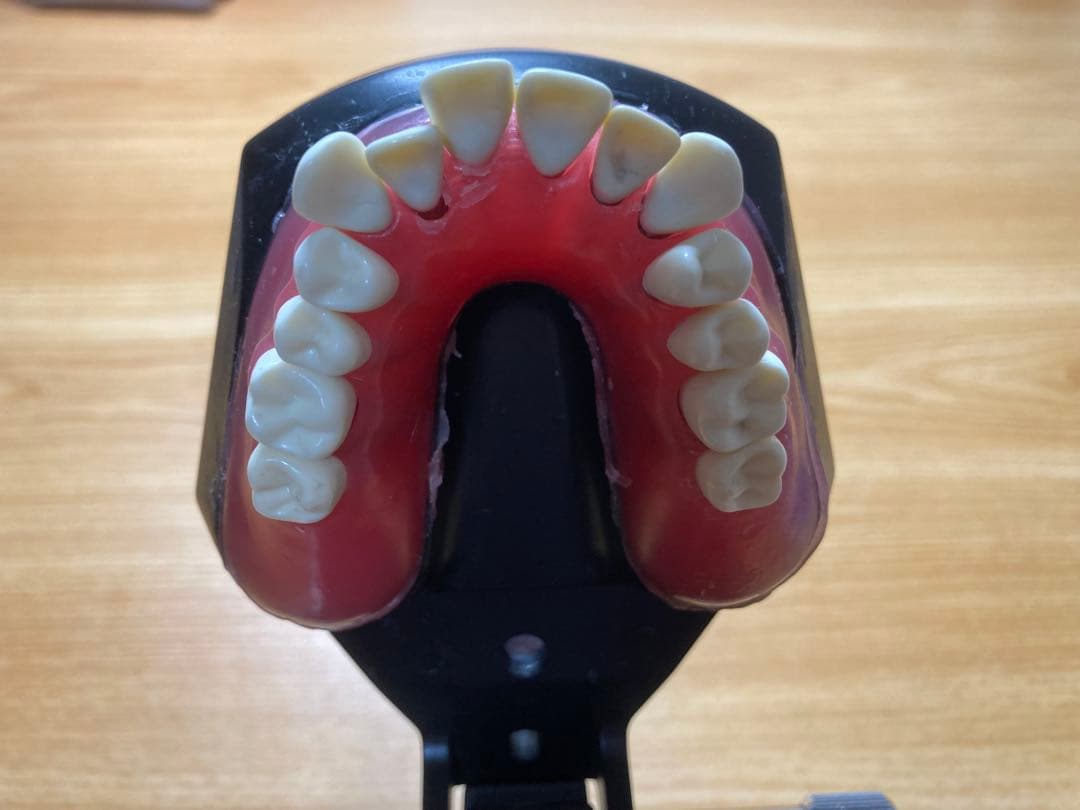 タイポドント咬合器&メタルティースセット ロッキー（JMオーソ）型